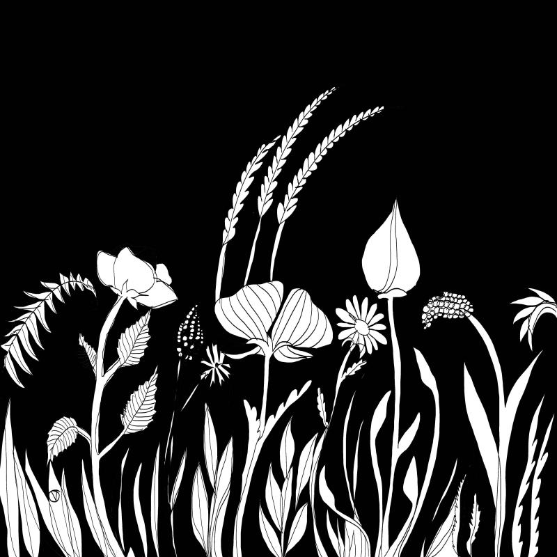 design in autodesk black/white erhältlich als kunstdruck individuell mit acrylumrandung zusätzlich auf anfrage. Die Idee ist hier eine Blumenwiese bei nacht.